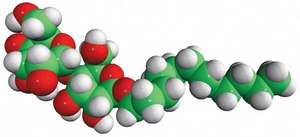 n-dodecyl-&#946;-D-maltoside (DDM) Avanti Research&#8482; - A Croda Brand