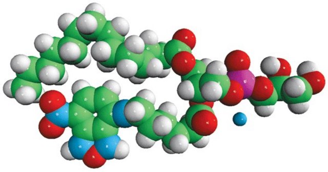 14:0-06:0 NBD PG Avanti Research&#8482; - A Croda Brand 810161P, powder