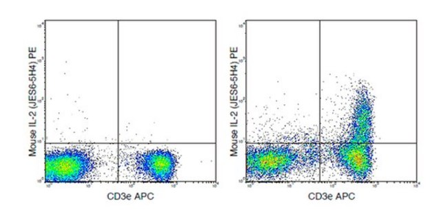 Anti-IL-2 (mouse), PE, clone JES6-5H4 Antibody clone JES6-5H4, from rat, PE