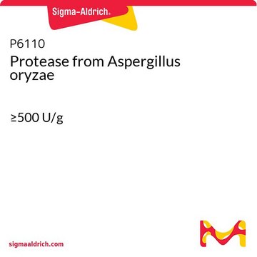 Protease from Aspergillus oryzae &#8805;500&#160;U/g