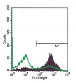 Annexin V-FITC Apoptosis Detection Kit