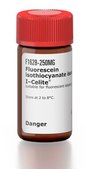 Fluorescein isothiocyanate isomer I–Celite&#174; suitable for fluorescent labeling techniques