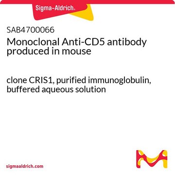 Monoclonal Anti-CD5 antibody produced in mouse clone CRIS1, purified immunoglobulin, buffered aqueous solution