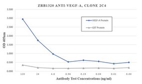 Anti-VEGF-A Antibody, clone 2C4 ZooMAb&#174; Rabbit Monoclonal recombinant, expressed in HEK 293 cells
