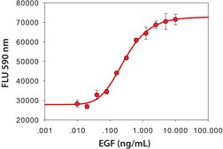 Epidermal Growth Factor, human, animal component free EGF, recombinant, expressed in Escherichia coli, &gt;97% (SDS-PAGE)