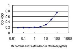 Monoclonal Anti-AADAC antibody produced in mouse clone 2E8, purified immunoglobulin, buffered aqueous solution