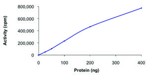 FGFR2 (285-end), active, GST tagged human PRECISIO&#174; Kinase, recombinant, expressed in baculovirus infected Sf9 cells, &#8805;80% (SDS-PAGE), buffered aqueous glycerol solution