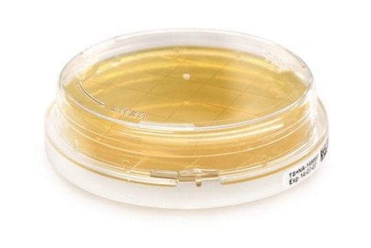 Tryptic Soy Agar - Ready-to-use Contact Plates Lecithin, Tween&#174;, ICR plus with lockable lid, plate diam. 55&#160;mm, sterile; &#947;-irradiated, pkg of 10&#160;plates Triple packed, suitable for air monitoring