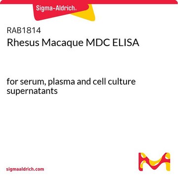 Rhesus Macaque MDC ELISA for serum, plasma and cell culture supernatants