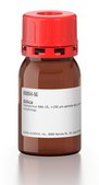 Silica mesoporous SBA-15, &lt;150&#160;&#956;m particle size, pore size 8&#160;nm, Hexagonal pore morphology