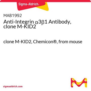 Anti-Integrin &#945;3&#946;1 Antibody, clone M-KID2 clone M-KID2, Chemicon&#174;, from mouse