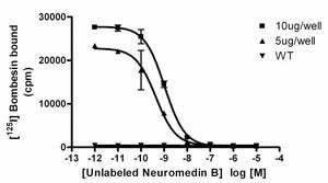 ChemiScreen Recombinant Human BB1 Bombesin/Neuromedin B Receptor Membrane Preparation Human BB1 GPCR membrane preparation for Radioligand binding Assays &amp; GTP&#947;S binding.