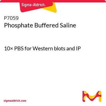 Phosphate Buffered Saline 10× PBS for Western blots and IP