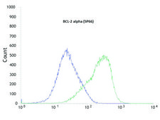 Anti-BCL-2 Alpha antibody, Rabbit monoclonal recombinant, expressed in proprietary host, clone SP66, affinity isolated antibody