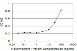 Monoclonal Anti-IL1R2 antibody produced in mouse clone 1G12, purified immunoglobulin, buffered aqueous solution
