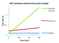 &#947;-Glutamyltransferase (GGT) Activity Colorimetric Assay Kit sufficient for 100&#160;colorimetric&nbsp;tests