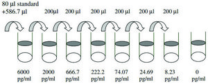 Mouse IL-7 ELISA Kit for serum, plasma and cell culture supernatant