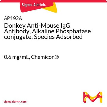 Donkey Anti-Mouse IgG Antibody, Alkaline Phosphatase conjugate, Species Adsorbed 0.6&#160;mg/mL, Chemicon&#174;