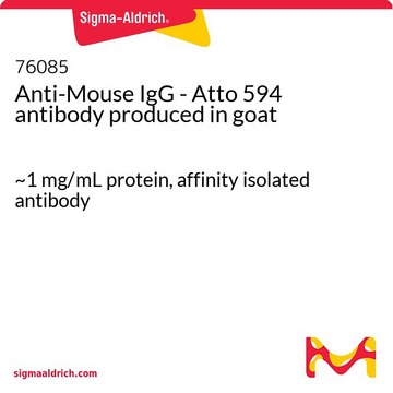 Anti-Mouse IgG - Atto 594 antibody produced in goat ~1&#160;mg/mL protein, affinity isolated antibody