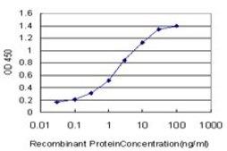 Monoclonal Anti-PPARD antibody produced in mouse clone 1G4, purified immunoglobulin, buffered aqueous solution