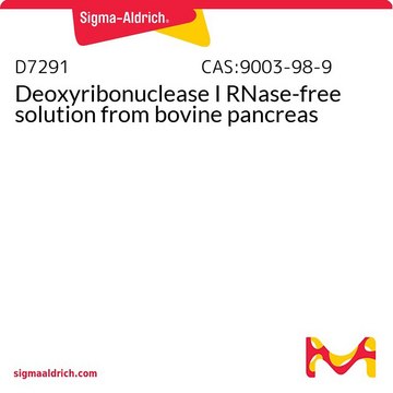 Deoxyribonuclease I RNase-free solution from bovine pancreas