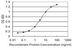 Monoclonal Anti-SLC6A11 antibody produced in mouse clone 2C3, purified immunoglobulin, buffered aqueous solution