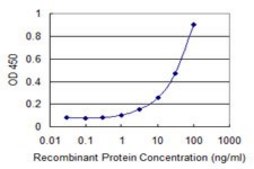 Monoclonal Anti-ZPLD1 antibody produced in mouse clone 1D8, purified immunoglobulin, buffered aqueous solution