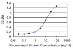 Monoclonal Anti-GNL3 antibody produced in mouse clone 1A1, purified immunoglobulin, buffered aqueous solution