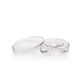 Duran&#174; Petri Dish Four-Sectional, H × diam. 100&#160;mm × 20&#160;mm