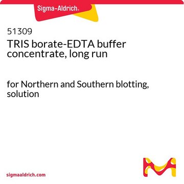 TRIS borate-EDTA buffer concentrate, long run for Northern and Southern blotting, solution