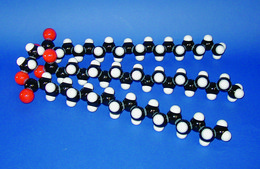 Molymod&#174; Individual organic model set DNA (includes stand, 46cm H)