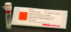 CleanAmp&#8482; dNTP Hot-start dNTP mix for improved PCR