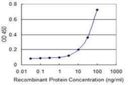 ANTI-FOXC2 antibody produced in mouse clone 4A5, purified immunoglobulin, buffered aqueous solution