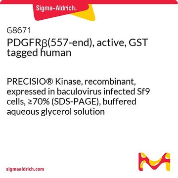 PDGFR&#946;(557-end), active, GST tagged human PRECISIO&#174; Kinase, recombinant, expressed in baculovirus infected Sf9 cells, &#8805;70% (SDS-PAGE), buffered aqueous glycerol solution