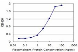 Monoclonal Anti-KLF5, (C-terminal) antibody produced in mouse clone 2G12, purified immunoglobulin, buffered aqueous solution