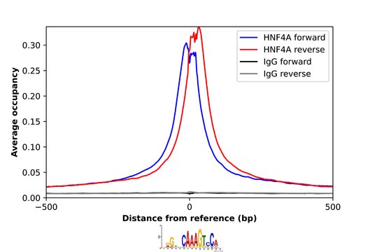 Anti-HNF4A antibody produced in rabbit Prestige Antibodies&#174; Powered by Atlas Antibodies, affinity isolated antibody, buffered aqueous glycerol solution