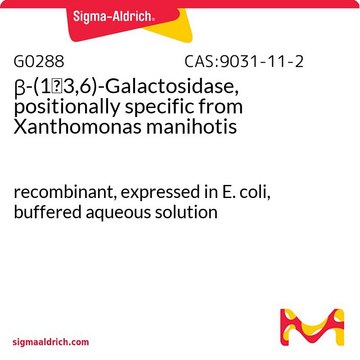 &#946;-(1&#8594;3,6)-Galactosidase, positionally specific from Xanthomonas manihotis recombinant, expressed in E. coli, buffered aqueous solution