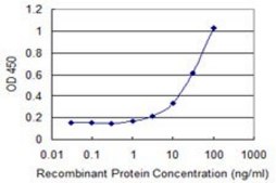 Monoclonal Anti-HGD, (C-terminal) antibody produced in mouse clone 2C10, purified immunoglobulin, buffered aqueous solution