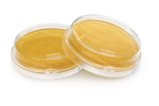 Tryptic Soy Agar - Ready-to-use Contact Plates Tween&#174;, Sodium Thiosulfate, Lecithin, Histidine, lid, ICR Plus: lockable, plate diam. 55&#160;mm, sterile; irradiated, triple packed of 10&#160;plates, suitable for surface monitoring