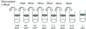 Human ErbB2 / HER2 ELISA Kit for serum, plasma, cell culture supernatant and urine
