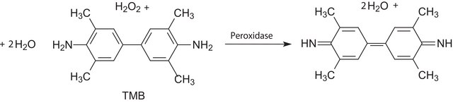 3,3&#8242;,5,5&#8242;-Tetramethylbenzidine (TMB) Liquid Substrate System for ELISA peroxidase substrate