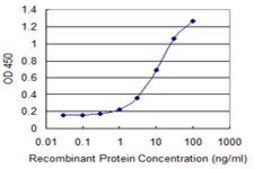 Monoclonal Anti-CDX1 antibody produced in mouse clone 3A3, purified immunoglobulin, buffered aqueous solution