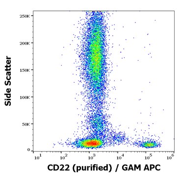 Monoclonal Anti-CD22, purified produced in mouse