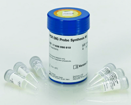 PCR DIG Probe Synthesis Kit sufficient for 25&#160;reaction (50 &#956;L final reaction volume)