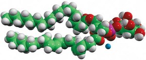 18:0-20:4 PI Avanti Research&#8482; - A Croda Brand