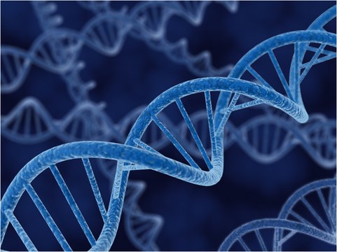 pET-9d DNA - Novagen Novagen&#8242;s pET-9a-d(+) vectors carry an N-terminal T7&#8226;Tag sequence and BamH I cloning site.