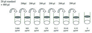 Porcine IL-8 ELISA Kit for serum, plasma and cell culture supernatant