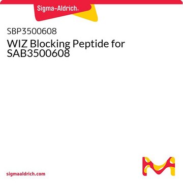 WIZ Blocking Peptide for SAB3500608