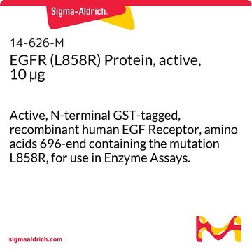 EGFR (L858R) Protein, active, 10 &#181;g Active, N-terminal GST-tagged, recombinant human EGF Receptor, amino acids 696-end containing the mutation L858R, for use in Enzyme Assays.