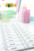 VIP&#174; Gold Listeria BioControl&#174;, Lateral flow test for detection of Listeria in food and environmental samples